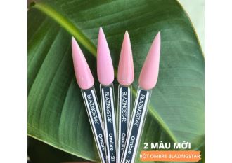 Blazing Star Ombre color Collection 660g (21-22)